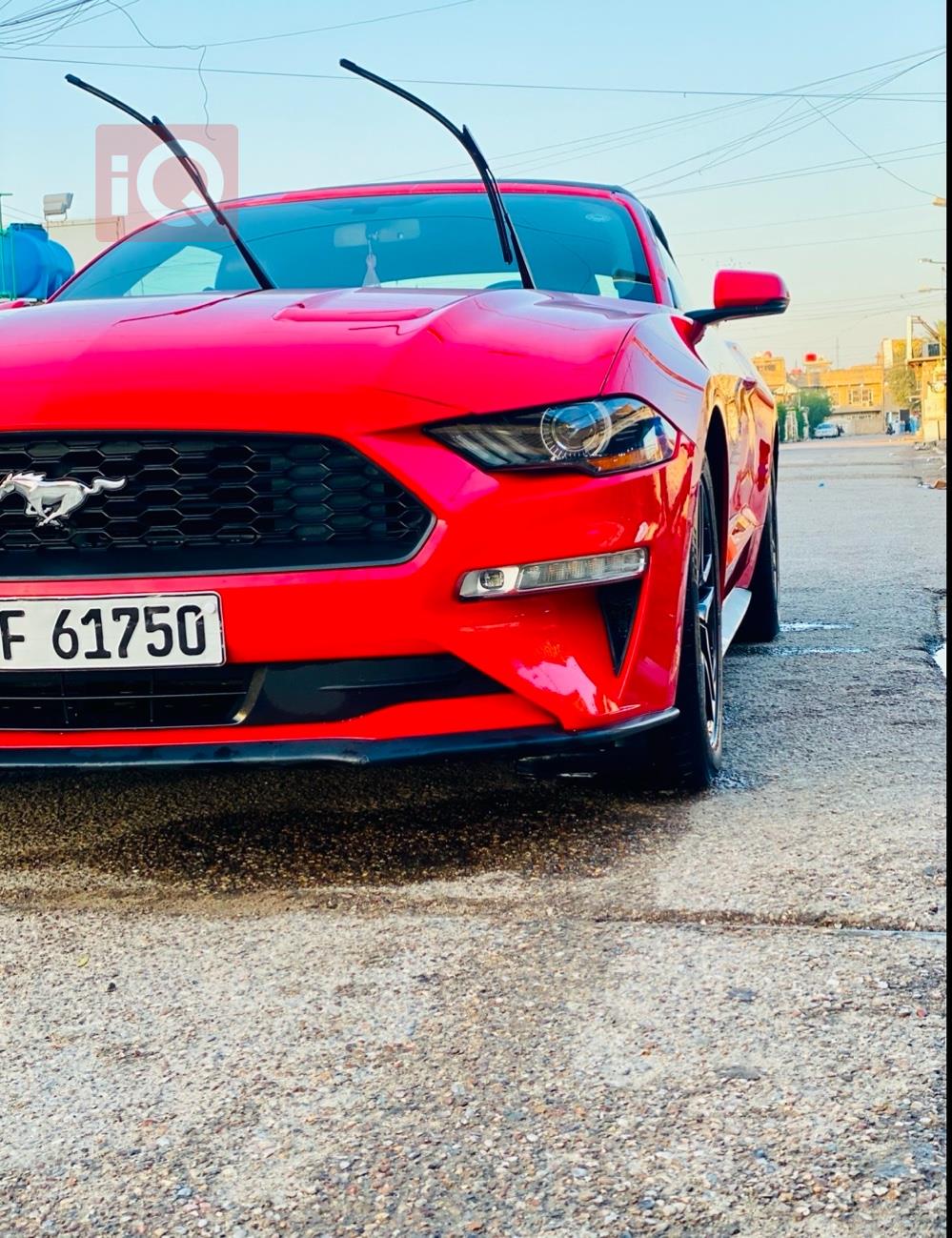فۆرد مۆستانگ